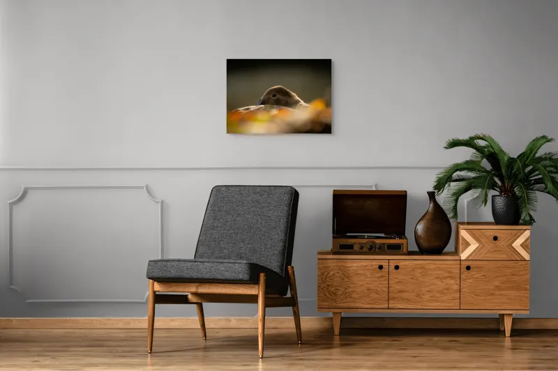 Tablou Canvas, "Vis de toamnă al raței somnoroase", Rață, Odihnă, Auriu, Umbră, Toamnă, Calm, Lumină, Natură, 70 x 50 cm – poza 4
