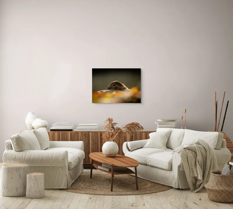 Tablou Canvas, "Vis de toamnă al raței somnoroase", Rață, Odihnă, Auriu, Umbră, Toamnă, Calm, Lumină, Natură, 70 x 50 cm – poza 6