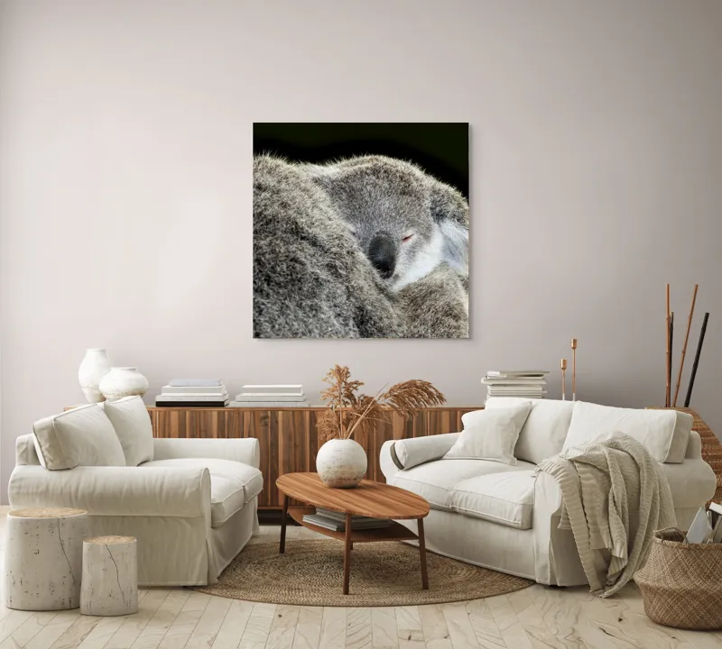 Tablou Canvas, "Visul liniștit al puiului de koala", Somn, Blândețe, Căldură, Blană, Koala, Liniște, Odihnă, 100 x 100 cm – poza 3