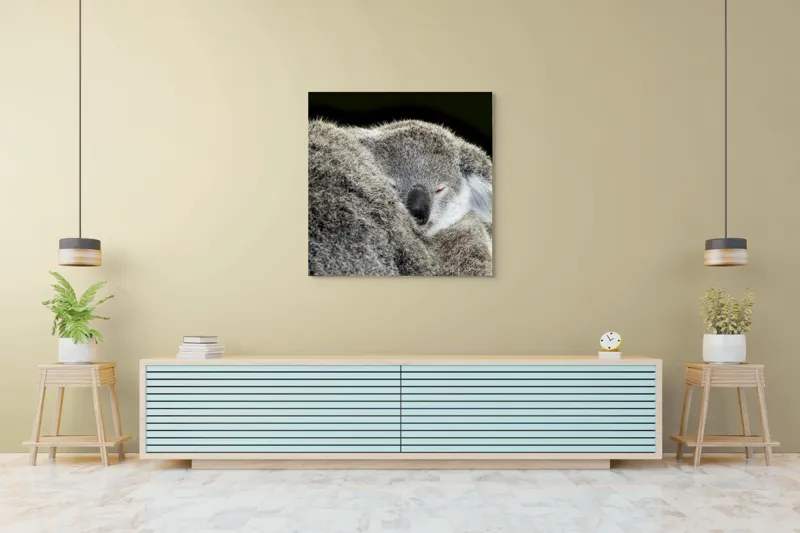 Tablou Canvas, "Visul liniștit al puiului de koala", Somn, Blândețe, Căldură, Blană, Koala, Liniște, Odihnă, 100 x 100 cm – poza 5