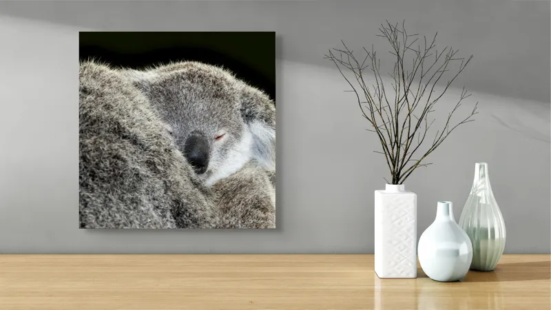 Tablou Canvas, "Visul liniștit al puiului de koala", Somn, Blândețe, Căldură, Blană, Koala, Liniște, Odihnă, 50 x 50 cm – poza 3