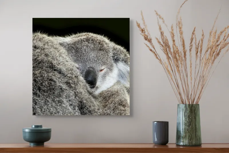 Tablou Canvas, "Visul liniștit al puiului de koala", Somn, Blândețe, Căldură, Blană, Koala, Liniște, Odihnă, 50 x 50 cm – poza 4