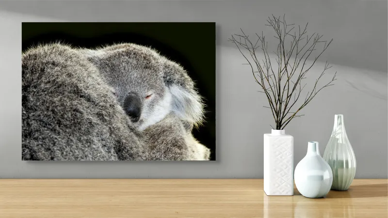 Tablou Canvas, "Visul liniștit al puiului de koala", Somn, Blândețe, Căldură, Blană, Koala, Liniște, Odihnă, 70 x 50 cm – poza 3