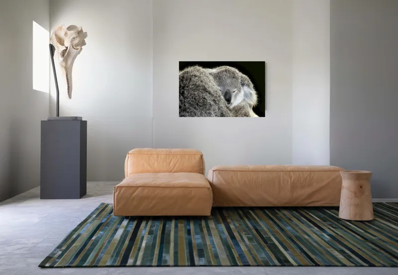 Tablou Canvas, "Visul liniștit al puiului de koala", Somn, Blândețe, Căldură, Blană, Koala, Liniște, Odihnă, 90 x 50 cm – poza 8
