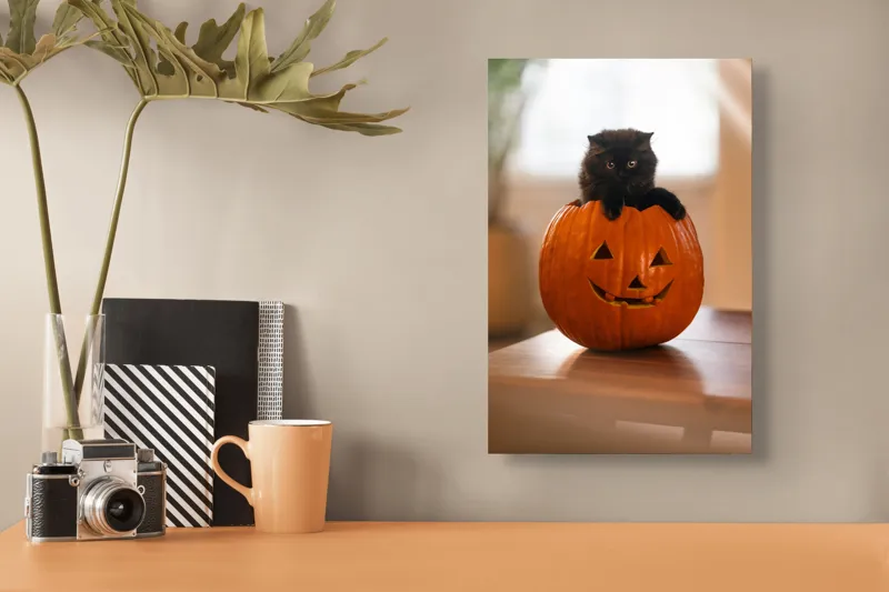 Tablou Canvas, "Pisoi curios într-un dovleac sculptat", Felina, Dovleac, Negru, Drăgălaș, Halloween, Lumină, Mobilier, Blană, Fereastră, Bucurie, 26 x 39 cm – poza 3