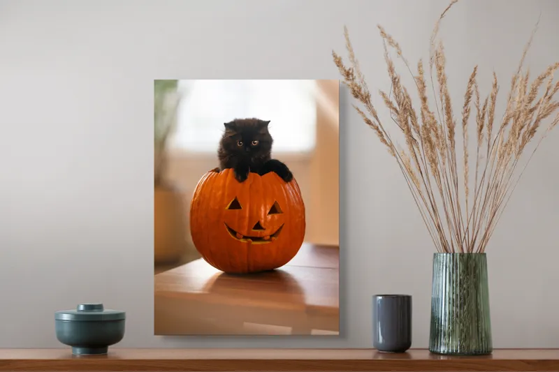 Tablou Canvas, "Pisoi curios într-un dovleac sculptat", Felina, Dovleac, Negru, Drăgălaș, Halloween, Lumină, Mobilier, Blană, Fereastră, Bucurie, 39 x 54 cm – poza 3