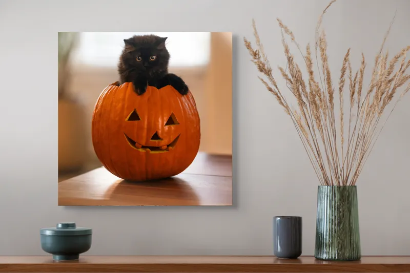 Tablou Canvas, "Pisoi curios într-un dovleac sculptat", Felina, Dovleac, Negru, Drăgălaș, Halloween, Lumină, Mobilier, Blană, Fereastră, Bucurie, 50 x 50 cm – poza 4