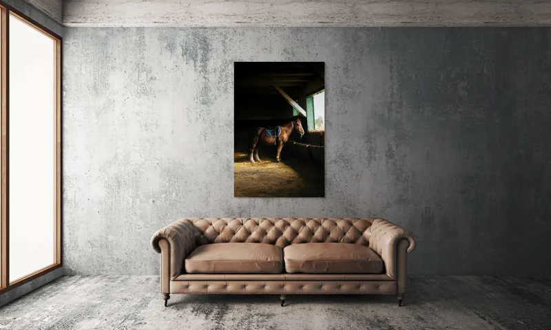 Tablou Canvas, "Cal odihnindu-se în grajd liniștit", Cal, Grajd, Lumină, Sadelă, Fereastră, Tranquilitate, Umbră, Relaxare., 100 x 150 cm – poza 6