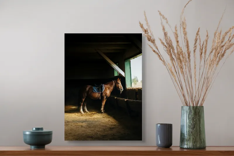 Tablou Canvas, "Cal odihnindu-se în grajd liniștit", Cal, Grajd, Lumină, Sadelă, Fereastră, Tranquilitate, Umbră, Relaxare., 39 x 54 cm – poza 3