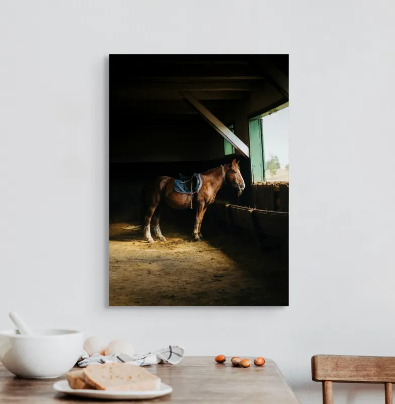 Tablou Canvas, "Cal odihnindu-se în grajd liniștit", Cal, Grajd, Lumină, Sadelă, Fereastră, Tranquilitate, Umbră, Relaxare., 50 x 70 cm – poza 3