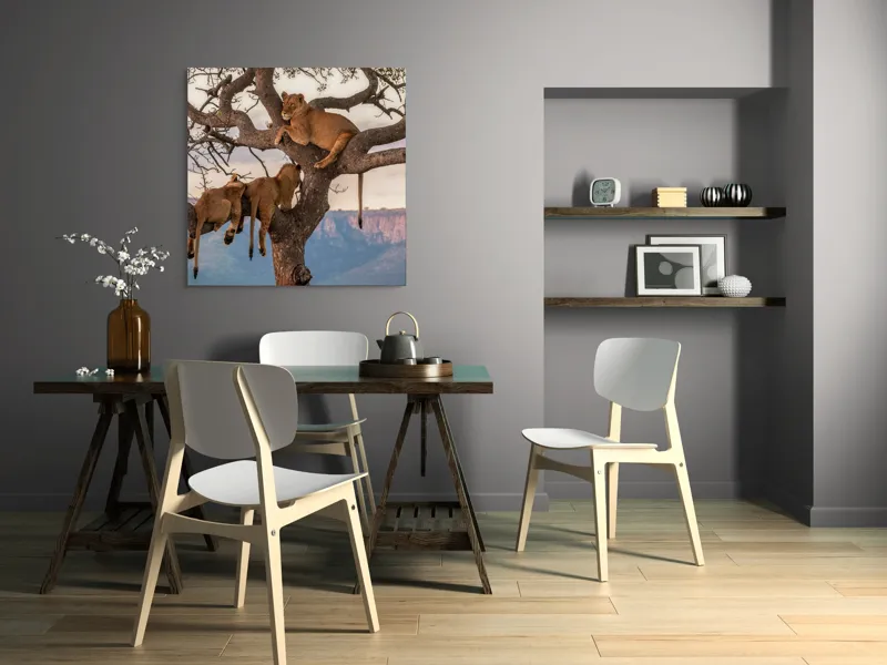 Tablou Canvas, "Leii odihnindu-se în copac african", Leu, Copaci, Odihnă, Peisaj, Natură, Colt, Savana, Relaxare, 100 x 100 cm – poza 6