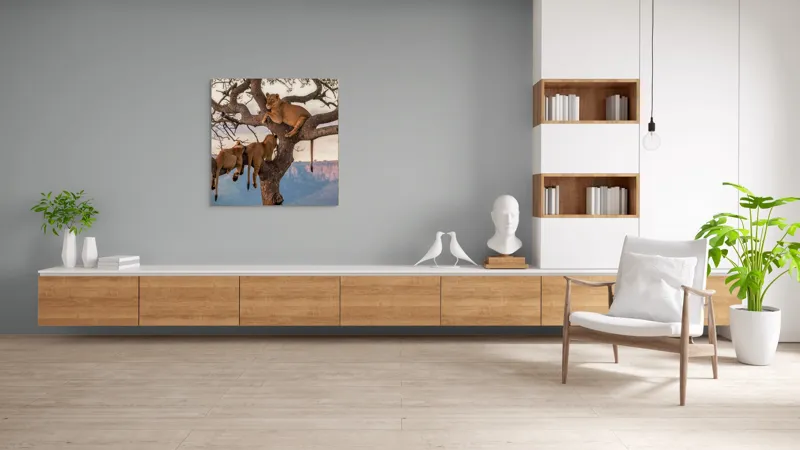 Tablou Canvas, "Leii odihnindu-se în copac african", Leu, Copaci, Odihnă, Peisaj, Natură, Colt, Savana, Relaxare, 100 x 100 cm – poza 8