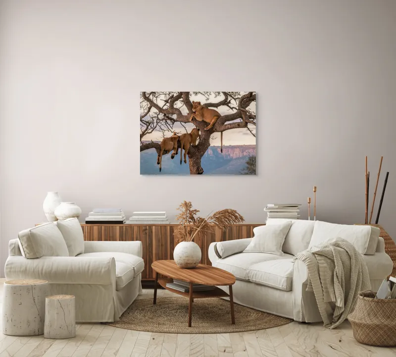 Tablou Canvas, "Leii odihnindu-se în copac african", Leu, Copaci, Odihnă, Peisaj, Natură, Colt, Savana, Relaxare, 100 x 70 cm – poza 3