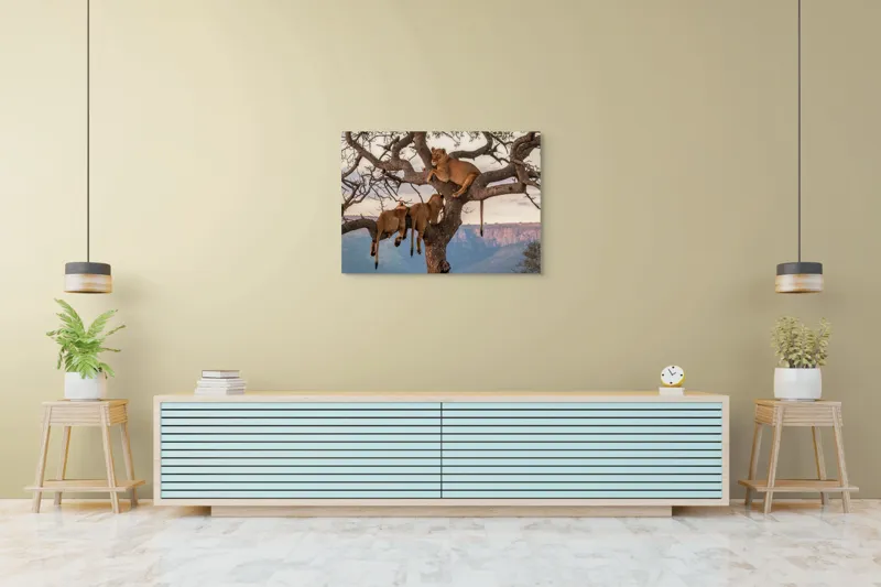 Tablou Canvas, "Leii odihnindu-se în copac african", Leu, Copaci, Odihnă, Peisaj, Natură, Colt, Savana, Relaxare, 100 x 70 cm – poza 4