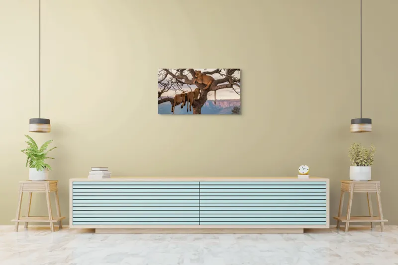 Tablou Canvas, "Leii odihnindu-se în copac african", Leu, Copaci, Odihnă, Peisaj, Natură, Colt, Savana, Relaxare, 90 x 50 cm – poza 5