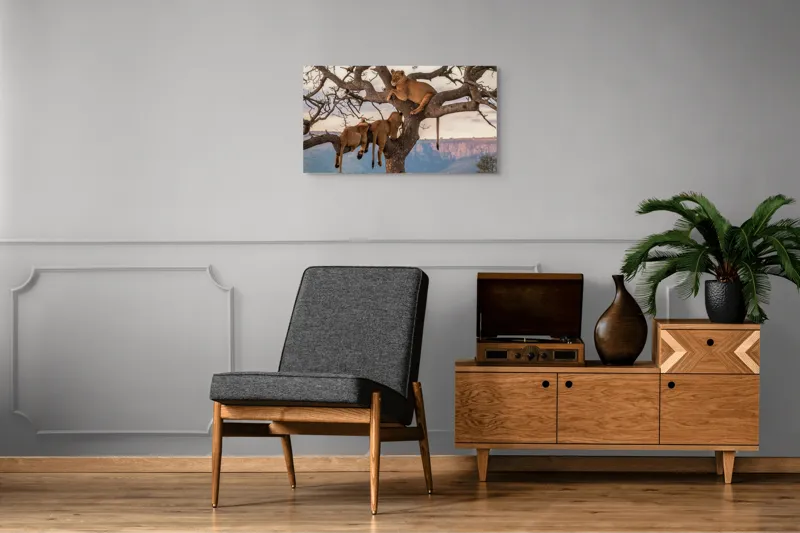 Tablou Canvas, "Leii odihnindu-se în copac african", Leu, Copaci, Odihnă, Peisaj, Natură, Colt, Savana, Relaxare, 90 x 50 cm – poza 6
