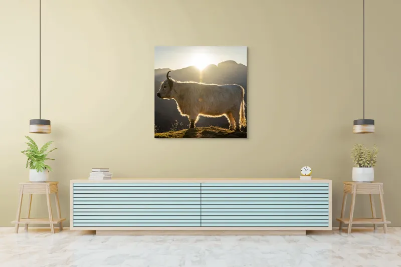 Tablou Canvas, "Yak în lumina dimineții de munte", Yak, Siluetă, Munți, Apus, Lumină, Natură, Blană, Peisaj, Tranquilitate, 100 x 100 cm – poza 5