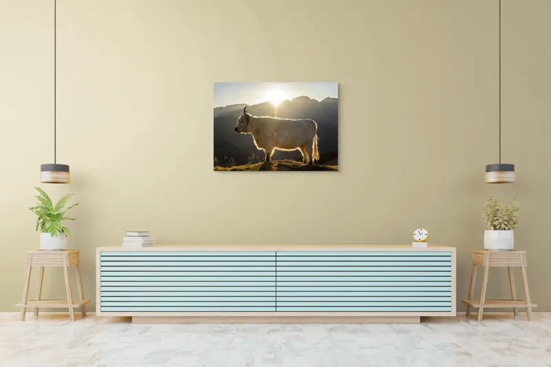 Tablou Canvas, "Yak în lumina dimineții de munte", Yak, Siluetă, Munți, Apus, Lumină, Natură, Blană, Peisaj, Tranquilitate, 100 x 70 cm – poza 4