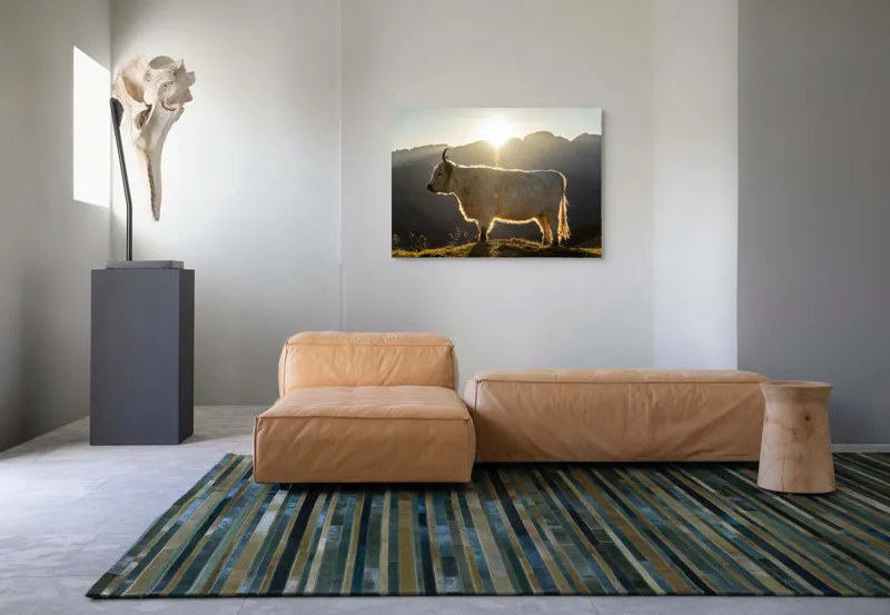 Tablou Canvas, "Yak în lumina dimineții de munte", Yak, Siluetă, Munți, Apus, Lumină, Natură, Blană, Peisaj, Tranquilitate, 100 x 70 cm – poza 7