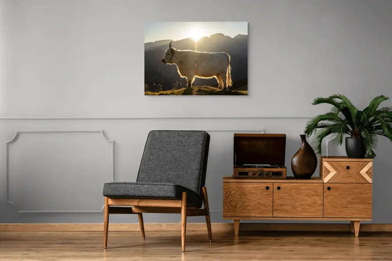 Tablou Canvas, "Yak în lumina dimineții de munte", Yak, Siluetă, Munți, Apus, Lumină, Natură, Blană, Peisaj, Tranquilitate, 100 x 70 cm – poza 8