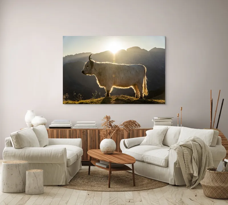 Tablou Canvas, "Yak în lumina dimineții de munte", Yak, Siluetă, Munți, Apus, Lumină, Natură, Blană, Peisaj, Tranquilitate, 150 x 100 cm – poza 3
