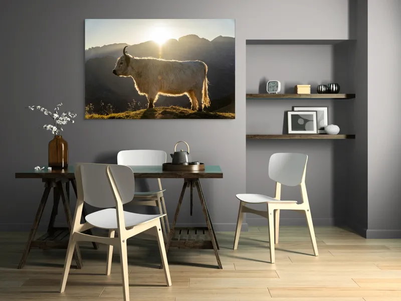 Tablou Canvas, "Yak în lumina dimineții de munte", Yak, Siluetă, Munți, Apus, Lumină, Natură, Blană, Peisaj, Tranquilitate, 150 x 100 cm – poza 5