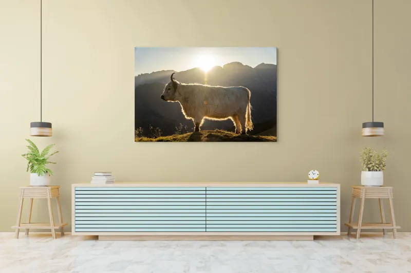 Tablou Canvas, "Yak în lumina dimineții de munte", Yak, Siluetă, Munți, Apus, Lumină, Natură, Blană, Peisaj, Tranquilitate, 150 x 100 cm – poza 6