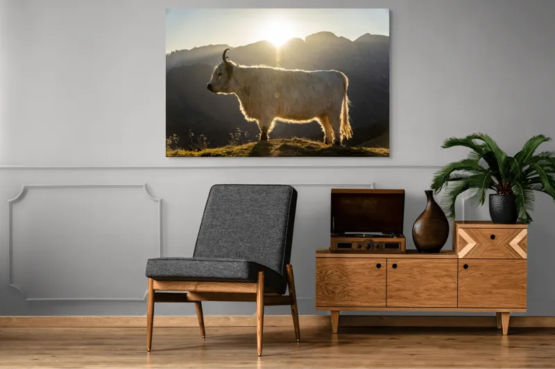 Tablou Canvas, "Yak în lumina dimineții de munte", Yak, Siluetă, Munți, Apus, Lumină, Natură, Blană, Peisaj, Tranquilitate, 150 x 100 cm – poza 8