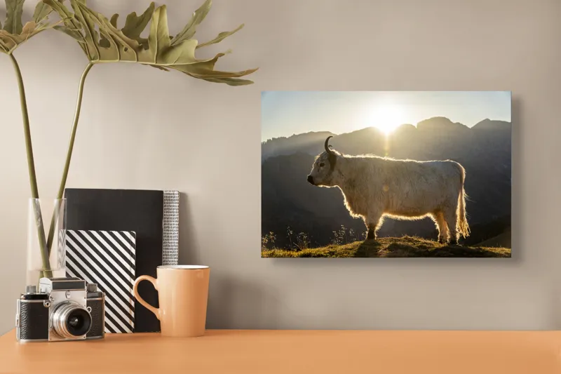 Tablou Canvas, "Yak în lumina dimineții de munte", Yak, Siluetă, Munți, Apus, Lumină, Natură, Blană, Peisaj, Tranquilitate, 39 x 26 cm – poza 3
