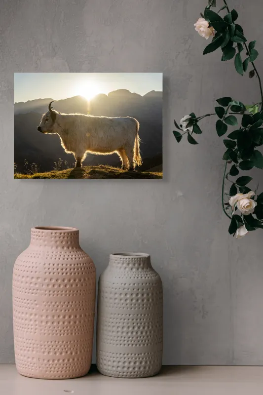 Tablou Canvas, "Yak în lumina dimineții de munte", Yak, Siluetă, Munți, Apus, Lumină, Natură, Blană, Peisaj, Tranquilitate, 54 x 39 cm – poza 8