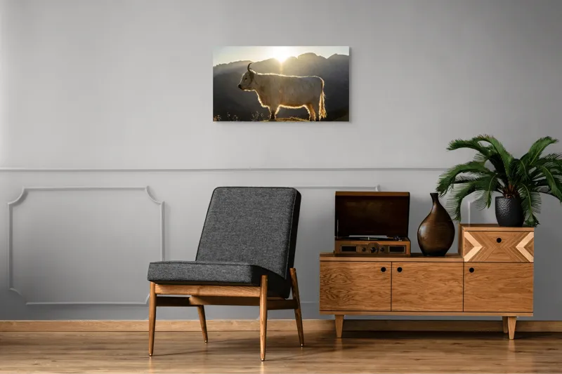 Tablou Canvas, "Yak în lumina dimineții de munte", Yak, Siluetă, Munți, Apus, Lumină, Natură, Blană, Peisaj, Tranquilitate, 90 x 50 cm – poza 6