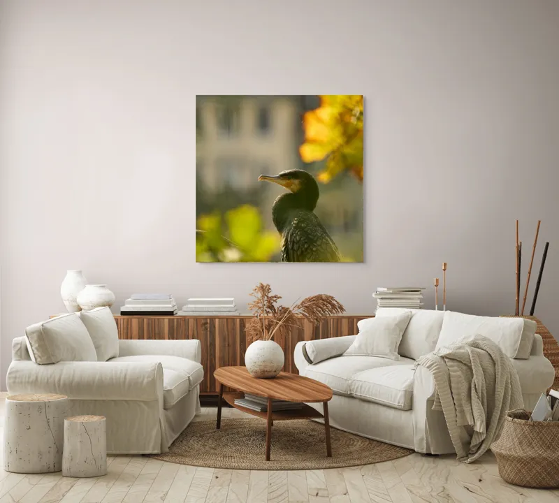 Tablou Canvas, "Cormoran în lumina apusului de toamnă", Pasăre, Penaj, Lumină, Contrast, Verdeață, Ramură, Eleganță, Blândețe., 100 x 100 cm – poza 3