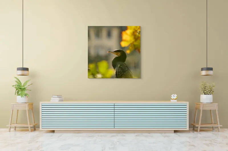 Tablou Canvas, "Cormoran în lumina apusului de toamnă", Pasăre, Penaj, Lumină, Contrast, Verdeață, Ramură, Eleganță, Blândețe., 100 x 100 cm – poza 5