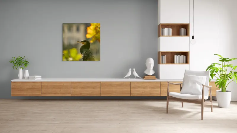Tablou Canvas, "Cormoran în lumina apusului de toamnă", Pasăre, Penaj, Lumină, Contrast, Verdeață, Ramură, Eleganță, Blândețe., 100 x 100 cm – poza 8