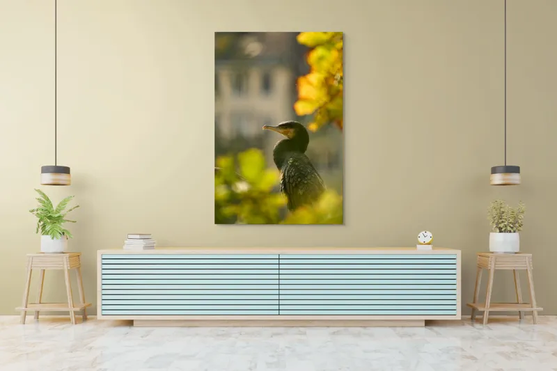 Tablou Canvas, "Cormoran în lumina apusului de toamnă", Pasăre, Penaj, Lumină, Contrast, Verdeață, Ramură, Eleganță, Blândețe., 100 x 150 cm – poza 4