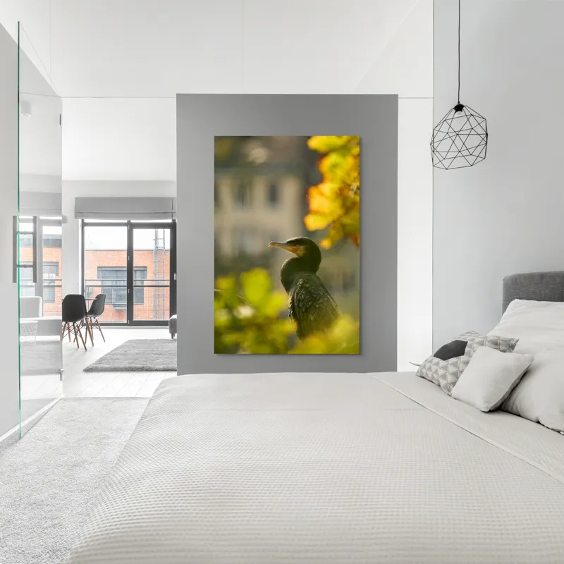 Tablou Canvas, "Cormoran în lumina apusului de toamnă", Pasăre, Penaj, Lumină, Contrast, Verdeață, Ramură, Eleganță, Blândețe., 100 x 150 cm – poza 5