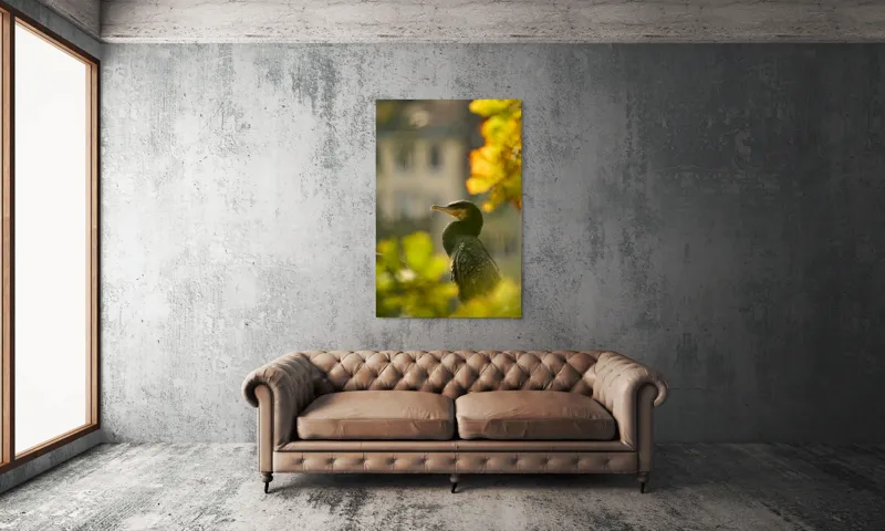 Tablou Canvas, "Cormoran în lumina apusului de toamnă", Pasăre, Penaj, Lumină, Contrast, Verdeață, Ramură, Eleganță, Blândețe., 100 x 150 cm – poza 6