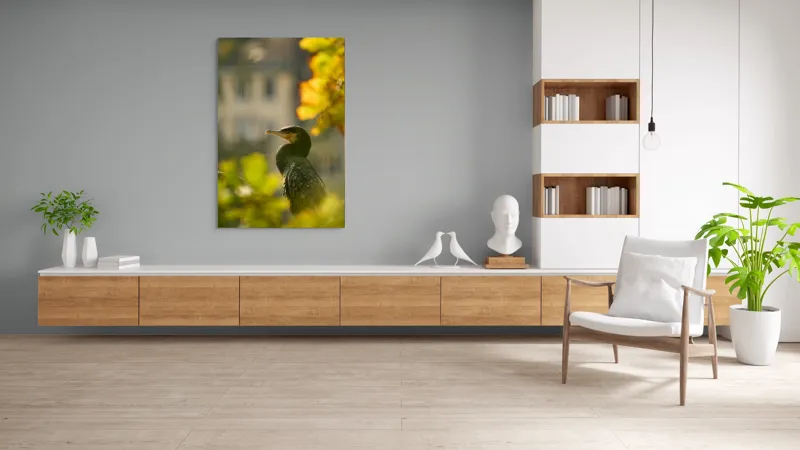 Tablou Canvas, "Cormoran în lumina apusului de toamnă", Pasăre, Penaj, Lumină, Contrast, Verdeață, Ramură, Eleganță, Blândețe., 100 x 150 cm – poza 8