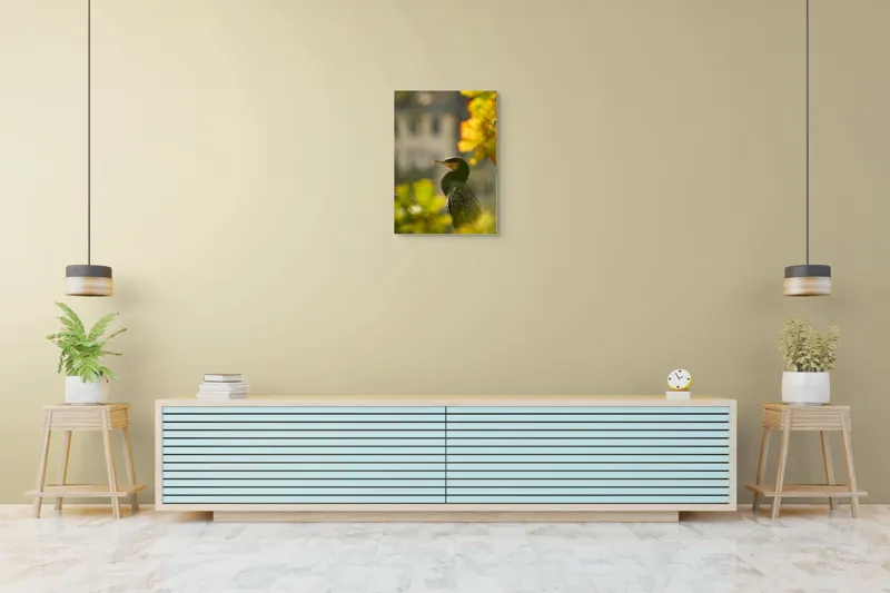 Tablou Canvas, "Cormoran în lumina apusului de toamnă", Pasăre, Penaj, Lumină, Contrast, Verdeață, Ramură, Eleganță, Blândețe., 50 x 70 cm – poza 6
