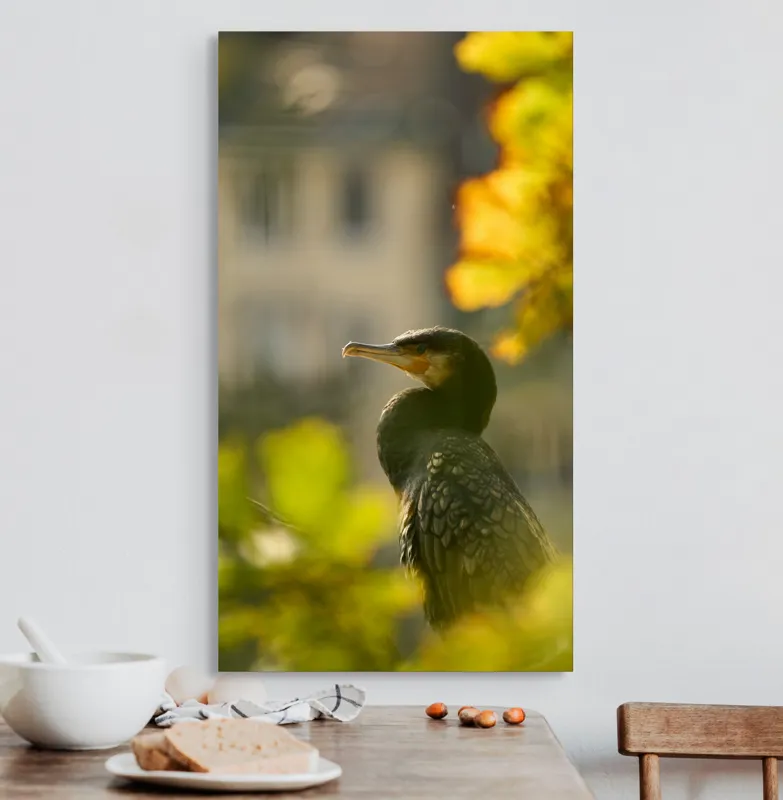 Tablou Canvas, "Cormoran în lumina apusului de toamnă", Pasăre, Penaj, Lumină, Contrast, Verdeață, Ramură, Eleganță, Blândețe., 50 x 90 cm – poza 3