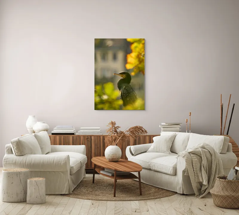 Tablou Canvas, "Cormoran în lumina apusului de toamnă", Pasăre, Penaj, Lumină, Contrast, Verdeață, Ramură, Eleganță, Blândețe., 70 x 100 cm – poza 4
