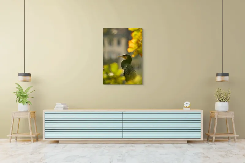 Tablou Canvas, "Cormoran în lumina apusului de toamnă", Pasăre, Penaj, Lumină, Contrast, Verdeață, Ramură, Eleganță, Blândețe., 70 x 100 cm – poza 5