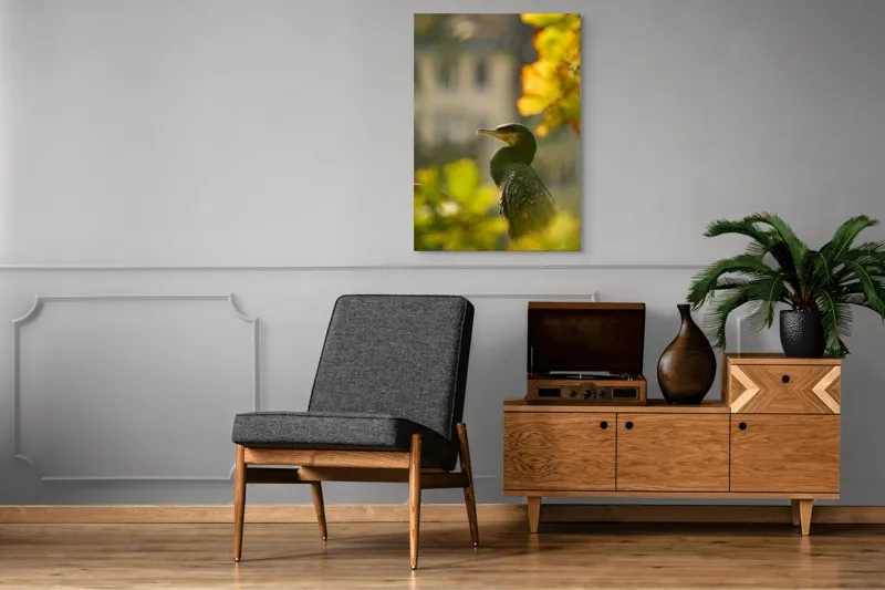 Tablou Canvas, "Cormoran în lumina apusului de toamnă", Pasăre, Penaj, Lumină, Contrast, Verdeață, Ramură, Eleganță, Blândețe., 70 x 100 cm – poza 6