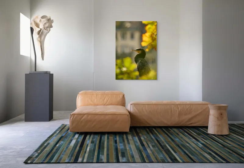 Tablou Canvas, "Cormoran în lumina apusului de toamnă", Pasăre, Penaj, Lumină, Contrast, Verdeață, Ramură, Eleganță, Blândețe., 70 x 100 cm – poza 7