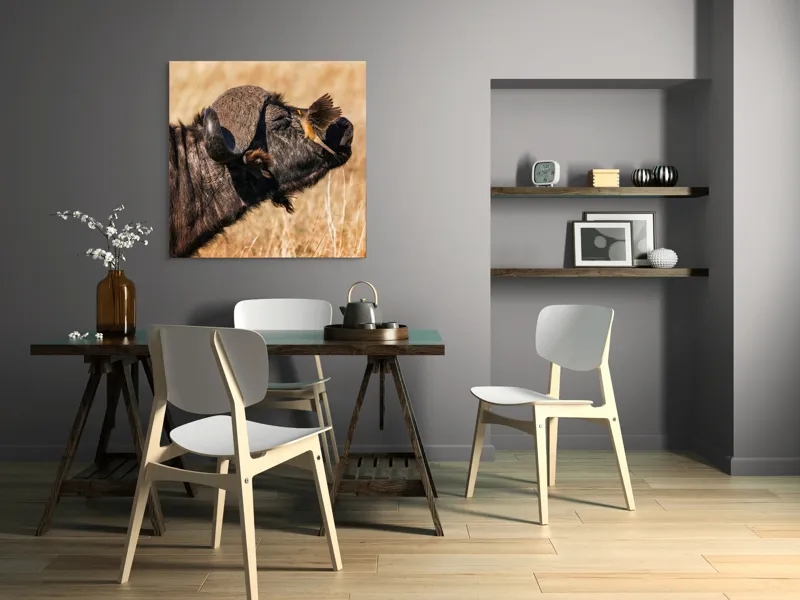 Tablou Canvas, "Bivol și pasărea curajoasă africanele", Bufniță, Pasăre, Bizon, Pene, Coarne, Păr, Interacțiune, Natură, Sălbăticie, Câmpie, 100 x 100 cm – poza 6