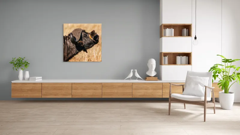 Tablou Canvas, "Bivol și pasărea curajoasă africanele", Bufniță, Pasăre, Bizon, Pene, Coarne, Păr, Interacțiune, Natură, Sălbăticie, Câmpie, 100 x 100 cm – poza 8