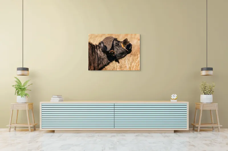 Tablou Canvas, "Bivol și pasărea curajoasă africanele", Bufniță, Pasăre, Bizon, Pene, Coarne, Păr, Interacțiune, Natură, Sălbăticie, Câmpie, 100 x 70 cm – poza 4