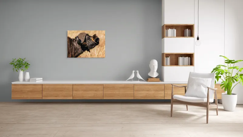 Tablou Canvas, "Bivol și pasărea curajoasă africanele", Bufniță, Pasăre, Bizon, Pene, Coarne, Păr, Interacțiune, Natură, Sălbăticie, Câmpie, 100 x 70 cm – poza 6
