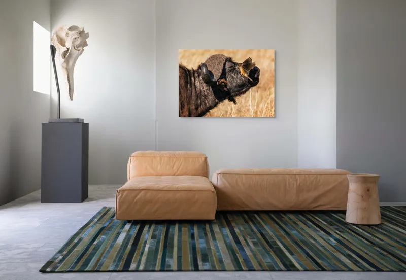 Tablou Canvas, "Bivol și pasărea curajoasă africanele", Bufniță, Pasăre, Bizon, Pene, Coarne, Păr, Interacțiune, Natură, Sălbăticie, Câmpie, 100 x 70 cm – poza 7