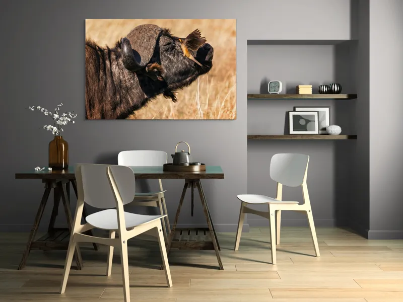 Tablou Canvas, "Bivol și pasărea curajoasă africanele", Bufniță, Pasăre, Bizon, Pene, Coarne, Păr, Interacțiune, Natură, Sălbăticie, Câmpie, 150 x 100 cm – poza 5